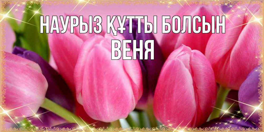 Открытка на каждый день с именем, Веня Наурыз құтты болсын тюльпаны для женщины на международный женский день Прикольная открытка с пожеланием онлайн скачать бесплатно 