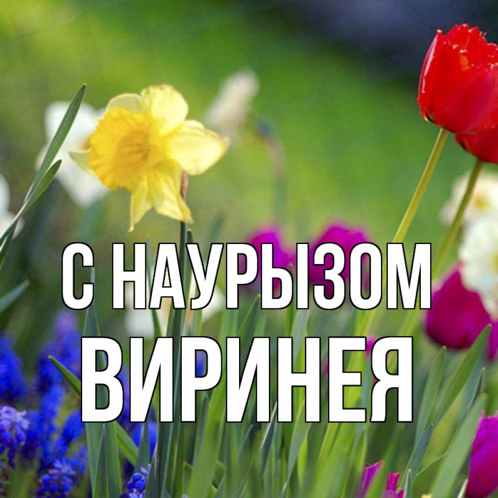 Открытка на каждый день с именем, Виринея С наурызом праздник весны наурыз 3 Прикольная открытка с пожеланием онлайн скачать бесплатно 