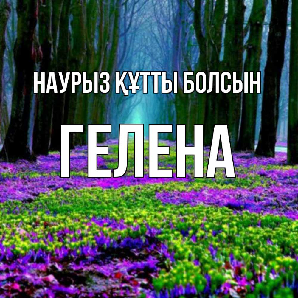 Открытка на каждый день с именем, Гелена Наурыз құтты болсын фиолетовые цветы в лесу 1 Прикольная открытка с пожеланием онлайн скачать бесплатно 