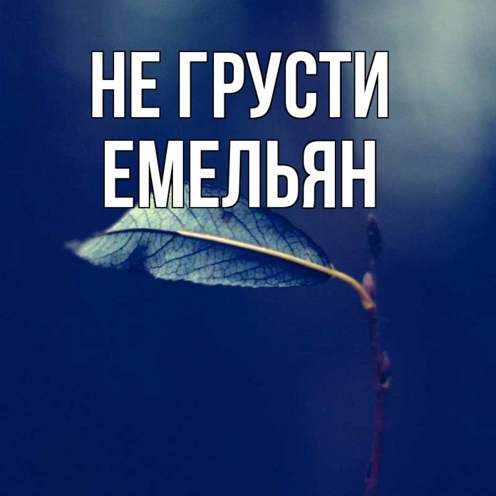 Открытка на каждый день с именем, Емельян Не грусти растение Прикольная открытка с пожеланием онлайн скачать бесплатно 
