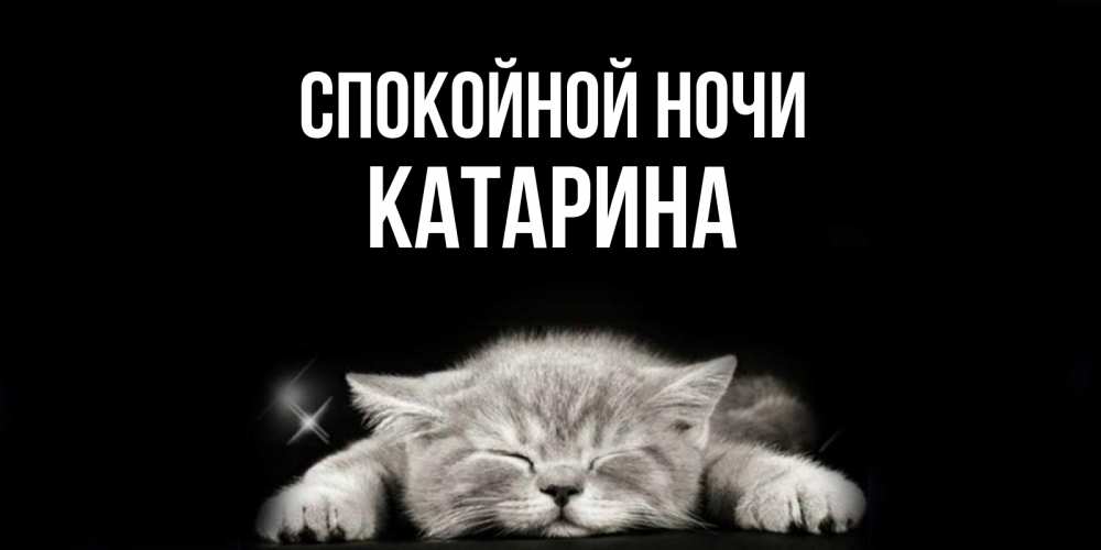 Открытка на каждый день с именем, Катарина Спокойной ночи спящий котик Прикольная открытка с пожеланием онлайн скачать бесплатно 