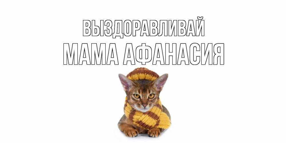 Открытка на каждый день с именем, Мама-Афанасия Выздоравливай родные не болейте Прикольная открытка с пожеланием онлайн скачать бесплатно 