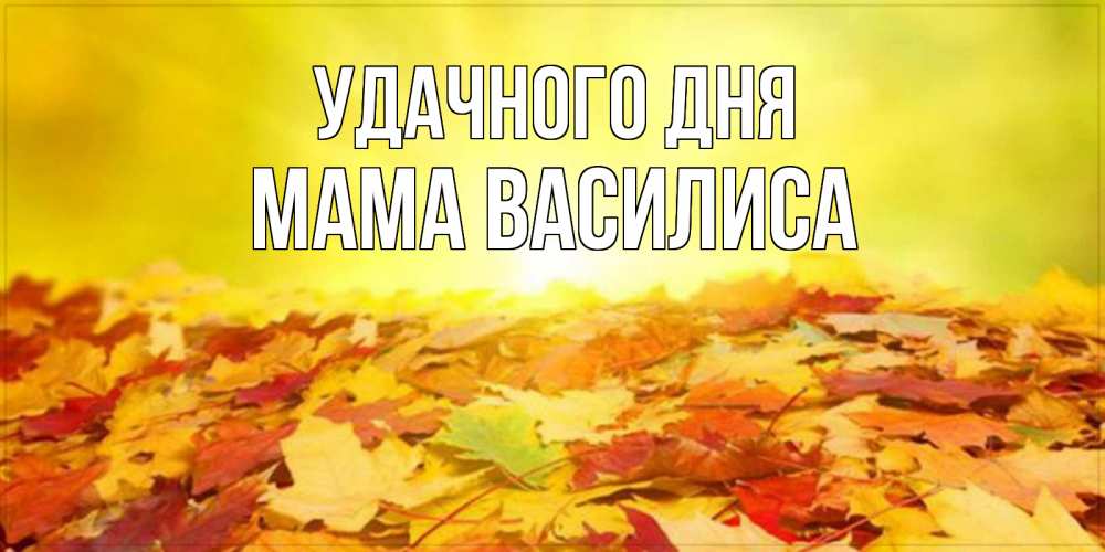 Открытка на каждый день с именем, Мама-Василиса Удачного дня пожелания удачного дня Прикольная открытка с пожеланием онлайн скачать бесплатно 