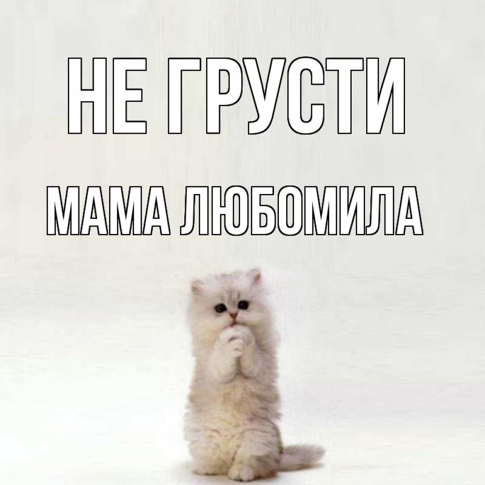 Открытка на каждый день с именем, Мама-Любомила Не грусти грустный кот Прикольная открытка с пожеланием онлайн скачать бесплатно 