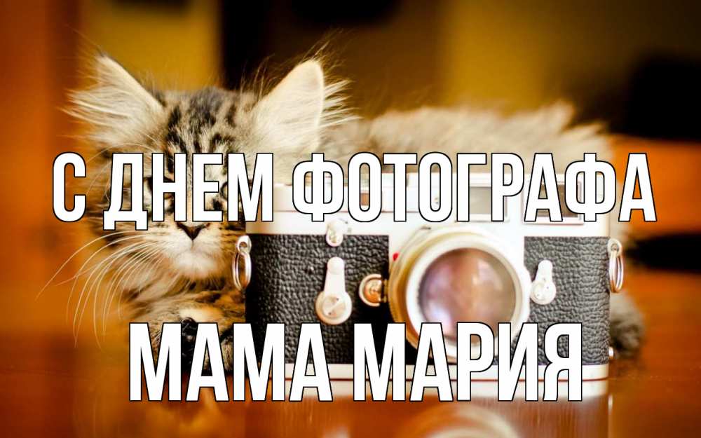 Открытка на каждый день с именем, Мама-Мария С днем фотографа с днем фотографа Прикольная открытка с пожеланием онлайн скачать бесплатно 