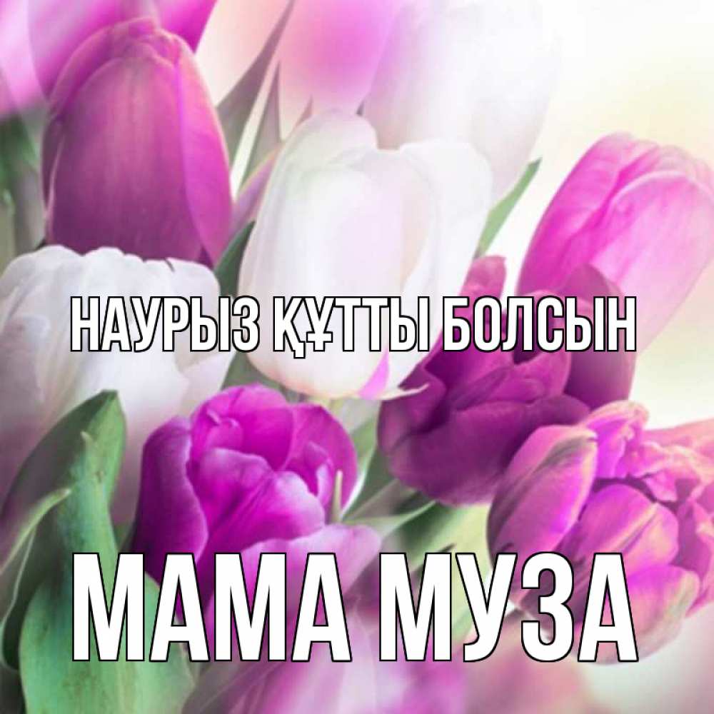 Открытка на каждый день с именем, Мама-Муза Наурыз құтты болсын весна 1 Прикольная открытка с пожеланием онлайн скачать бесплатно 