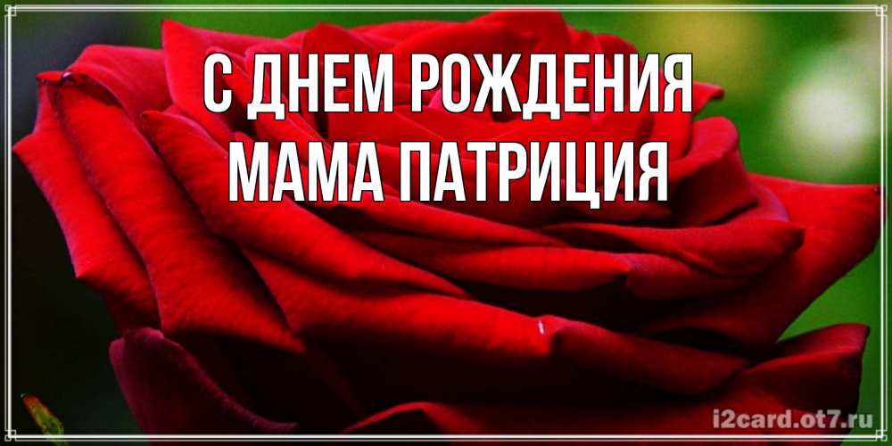 Открытка на каждый день с именем, Мама-Патриция С днем рождения розочка очень красивая Прикольная открытка с пожеланием онлайн скачать бесплатно 