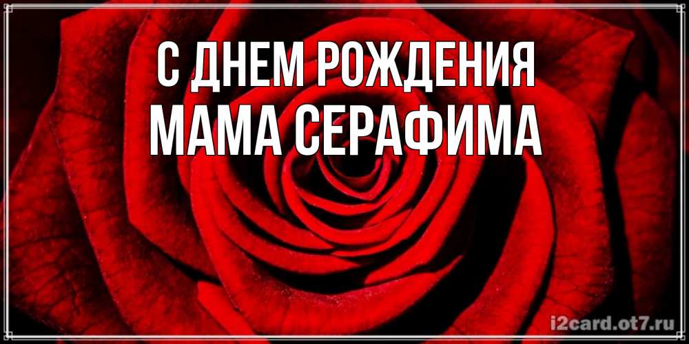 Открытка на каждый день с именем, Мама-Серафима С днем рождения алая роза Прикольная открытка с пожеланием онлайн скачать бесплатно 