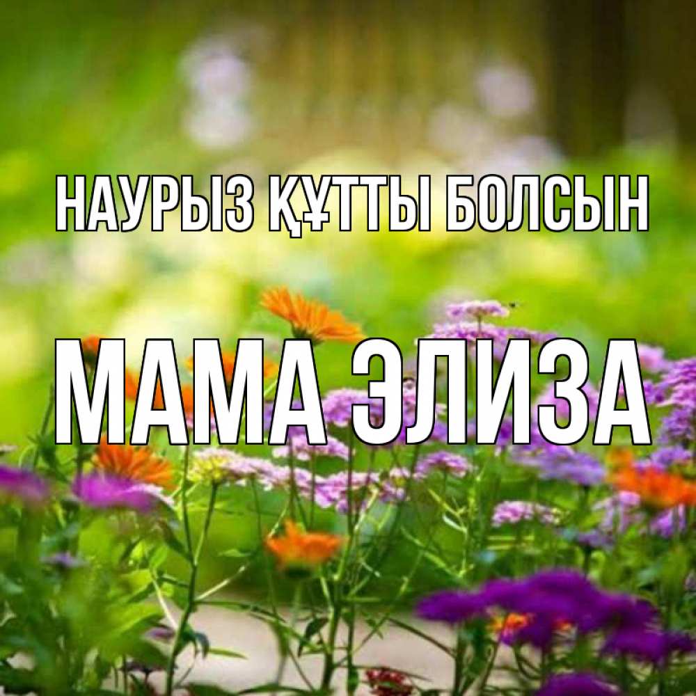 Открытка на каждый день с именем, Мама-Элиза Наурыз құтты болсын цветы Прикольная открытка с пожеланием онлайн скачать бесплатно 