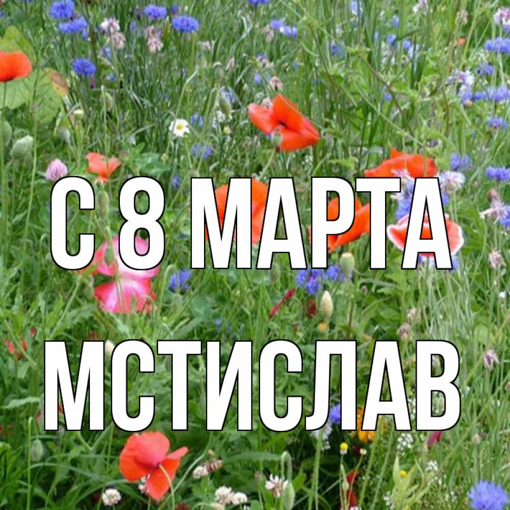 Открытка на каждый день с именем, Мстислав С 8 МАРТА международный женский день 4 Прикольная открытка с пожеланием онлайн скачать бесплатно 