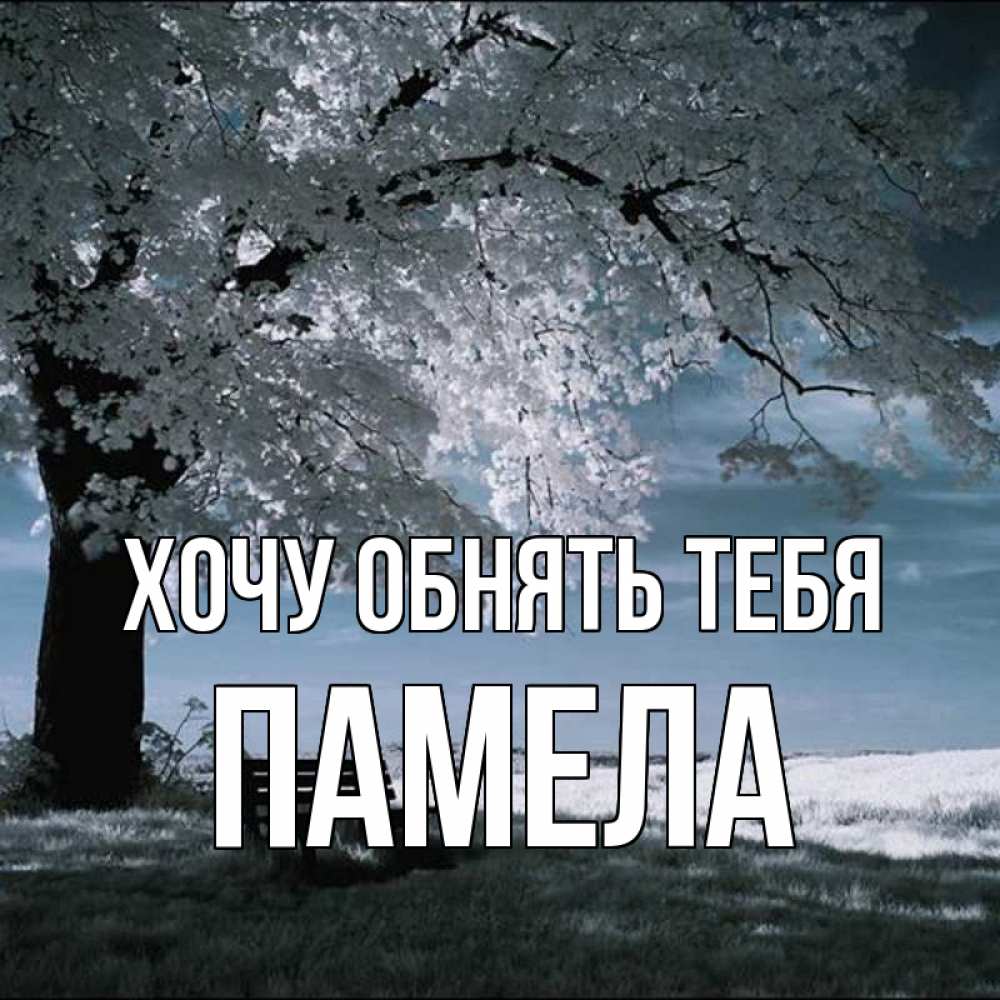 Открытка на каждый день с именем, Памела Хочу обнять тебя дерево Прикольная открытка с пожеланием онлайн скачать бесплатно 