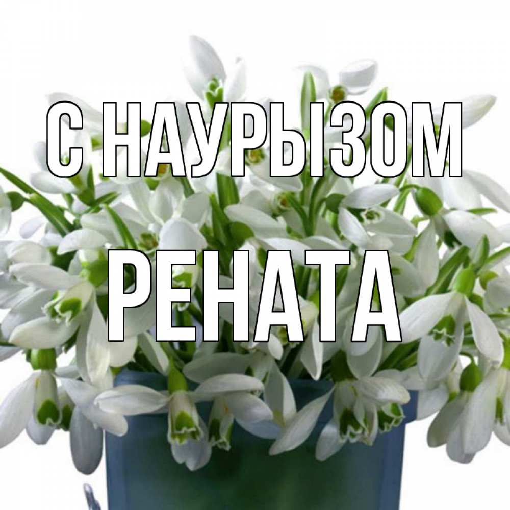 Открытка на каждый день с именем, Рената С наурызом цветы к наурызу новый год в Казахстане Прикольная открытка с пожеланием онлайн скачать бесплатно 