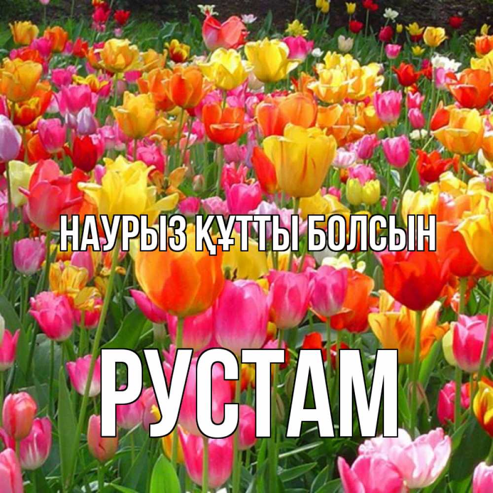 Открытка на каждый день с именем, Рустам Наурыз құтты болсын на наурыз  ура ура Прикольная открытка с пожеланием онлайн скачать бесплатно 