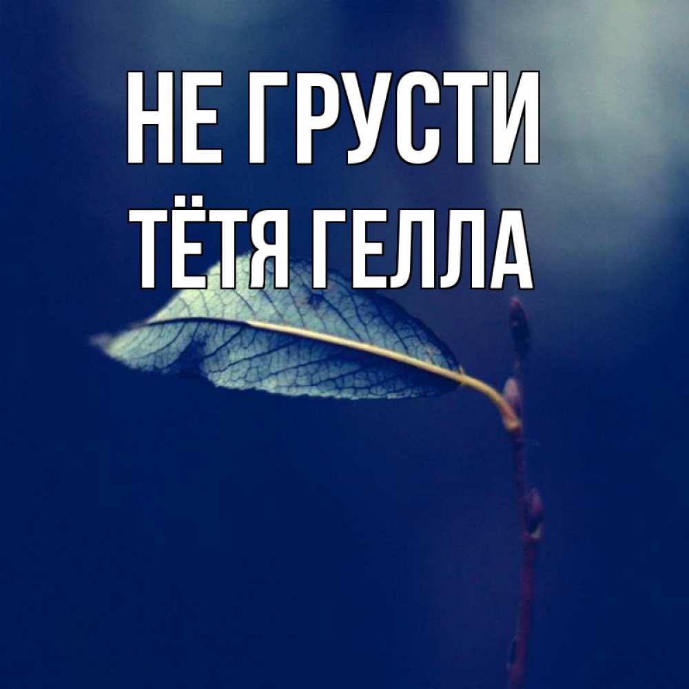 Открытка на каждый день с именем, Тётя-Гелла Не грусти растение Прикольная открытка с пожеланием онлайн скачать бесплатно 