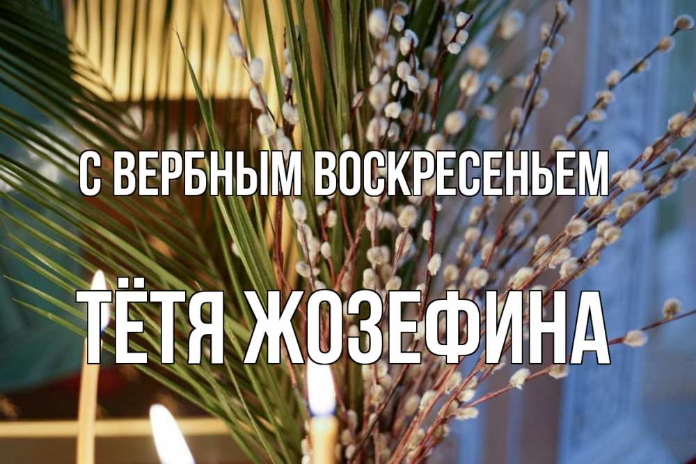 Открытка на каждый день с именем, Тётя-Жозефина С вербным воскресеньем верба Прикольная открытка с пожеланием онлайн скачать бесплатно 