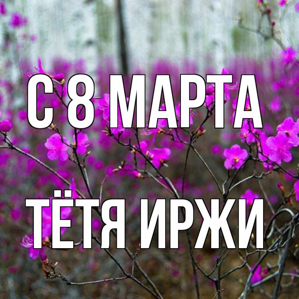 Открытка на каждый день с именем, Тётя-Иржи С 8 МАРТА дикие цветы Прикольная открытка с пожеланием онлайн скачать бесплатно 