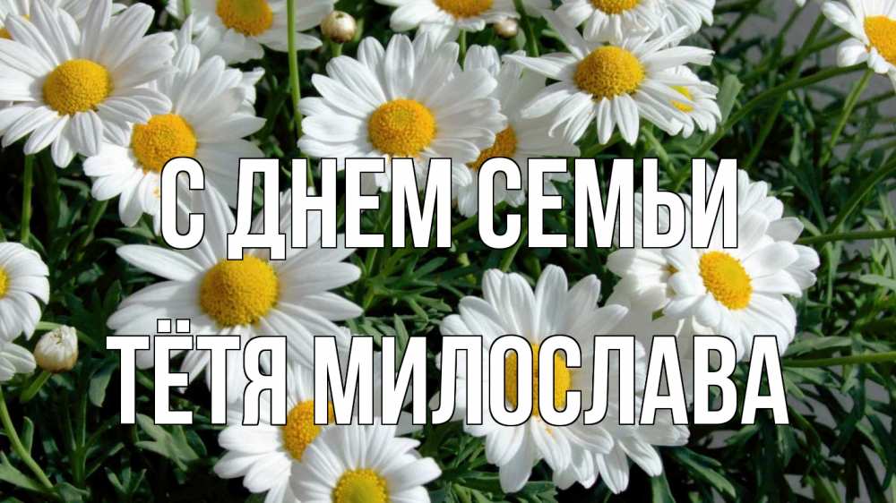 Открытка на каждый день с именем, Тётя-Милослава С днем семьи с днем семьи Прикольная открытка с пожеланием онлайн скачать бесплатно 