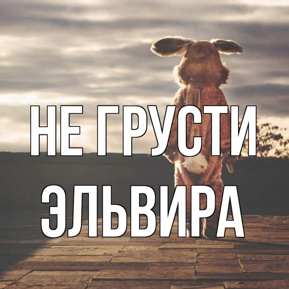 Открытка на каждый день с именем, Эльвира Не грусти со спины Прикольная открытка с пожеланием онлайн скачать бесплатно 
