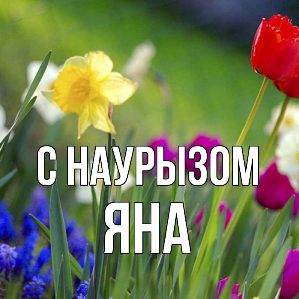 Открытка на каждый день с именем, Яна С наурызом праздник весны наурыз 3 Прикольная открытка с пожеланием онлайн скачать бесплатно 