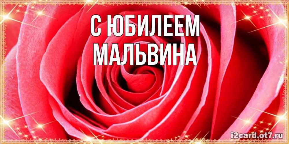 Открытка на каждый день с именем, Мальвина С юбилеем розовая роза очень крупный бутон Прикольная открытка с пожеланием онлайн скачать бесплатно 