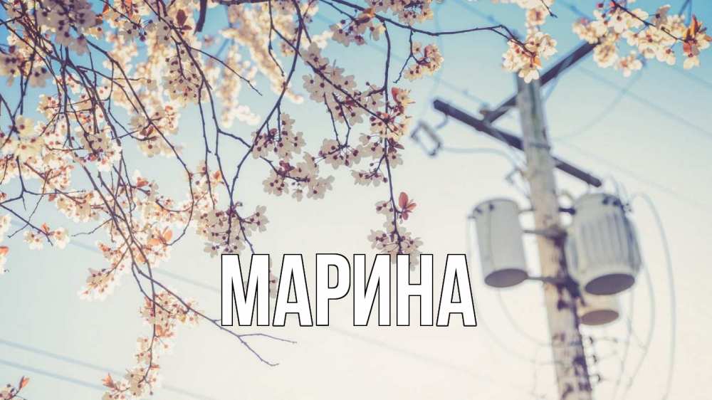 Открытка на каждый день с именем, Марина Главная весна столб трансформатор Прикольная открытка с пожеланием онлайн скачать бесплатно 