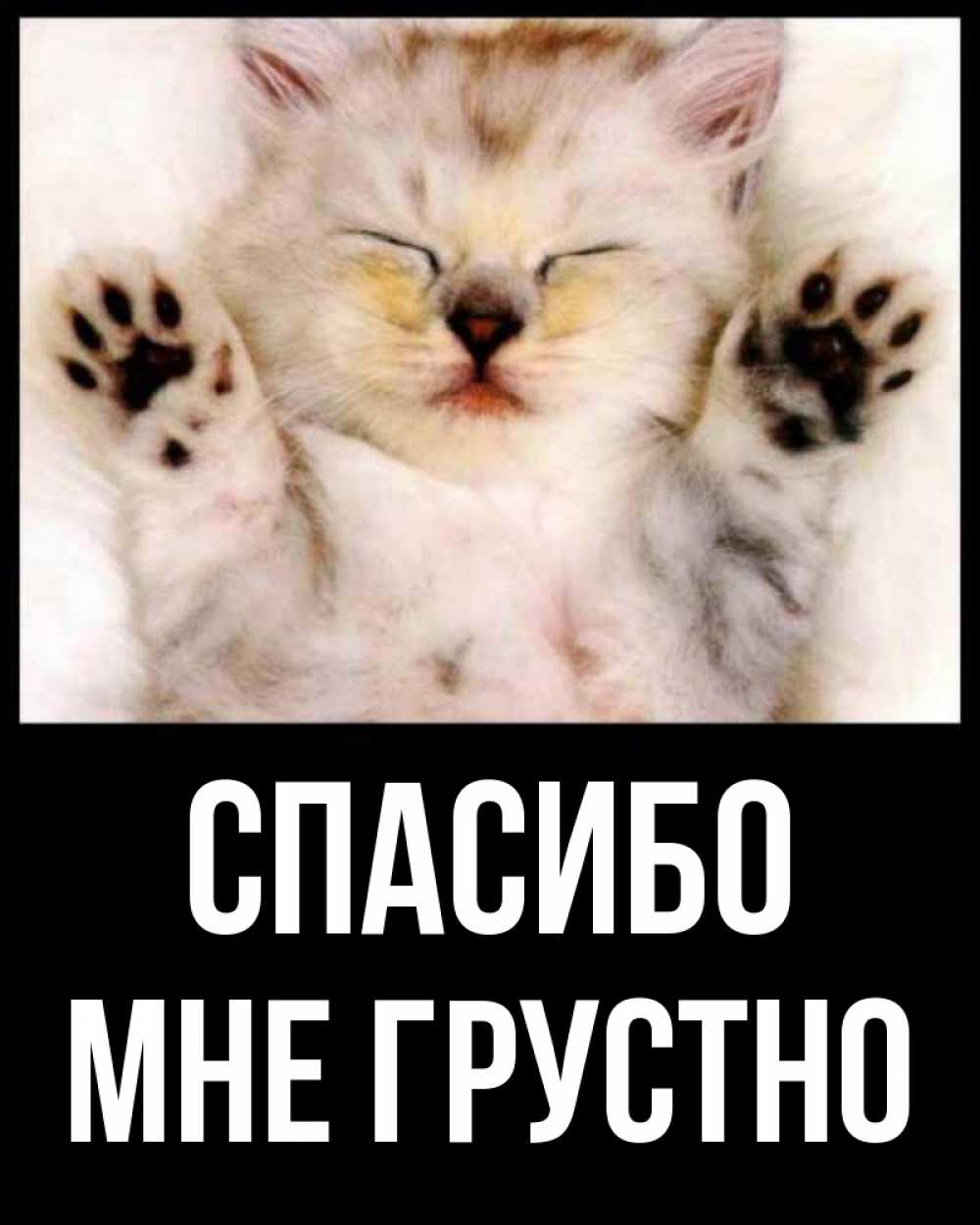 Открытка на каждый день с именем, Мне-грустно Спасибо маленький котенок Прикольная открытка с пожеланием онлайн скачать бесплатно 