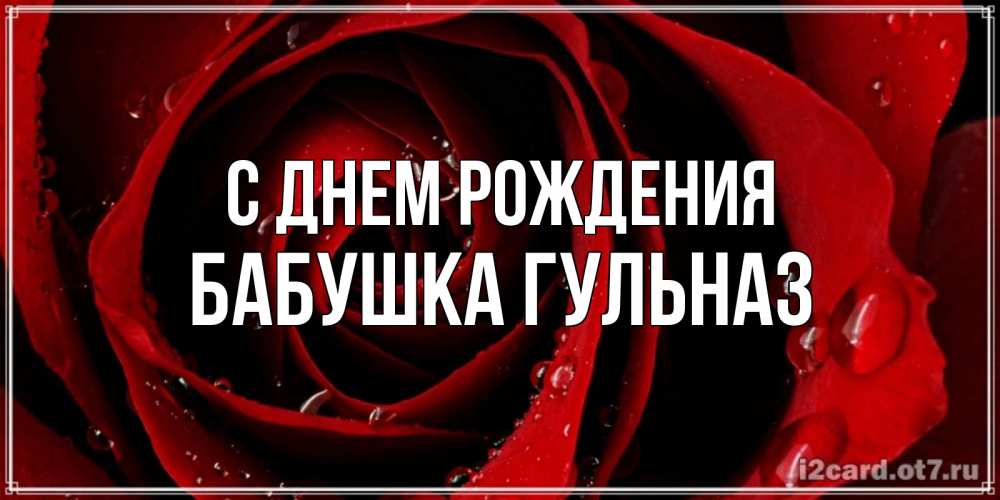 Открытка на каждый день с именем, Бабушка-Гульназ С днем рождения крупная бордовая роза Прикольная открытка с пожеланием онлайн скачать бесплатно 