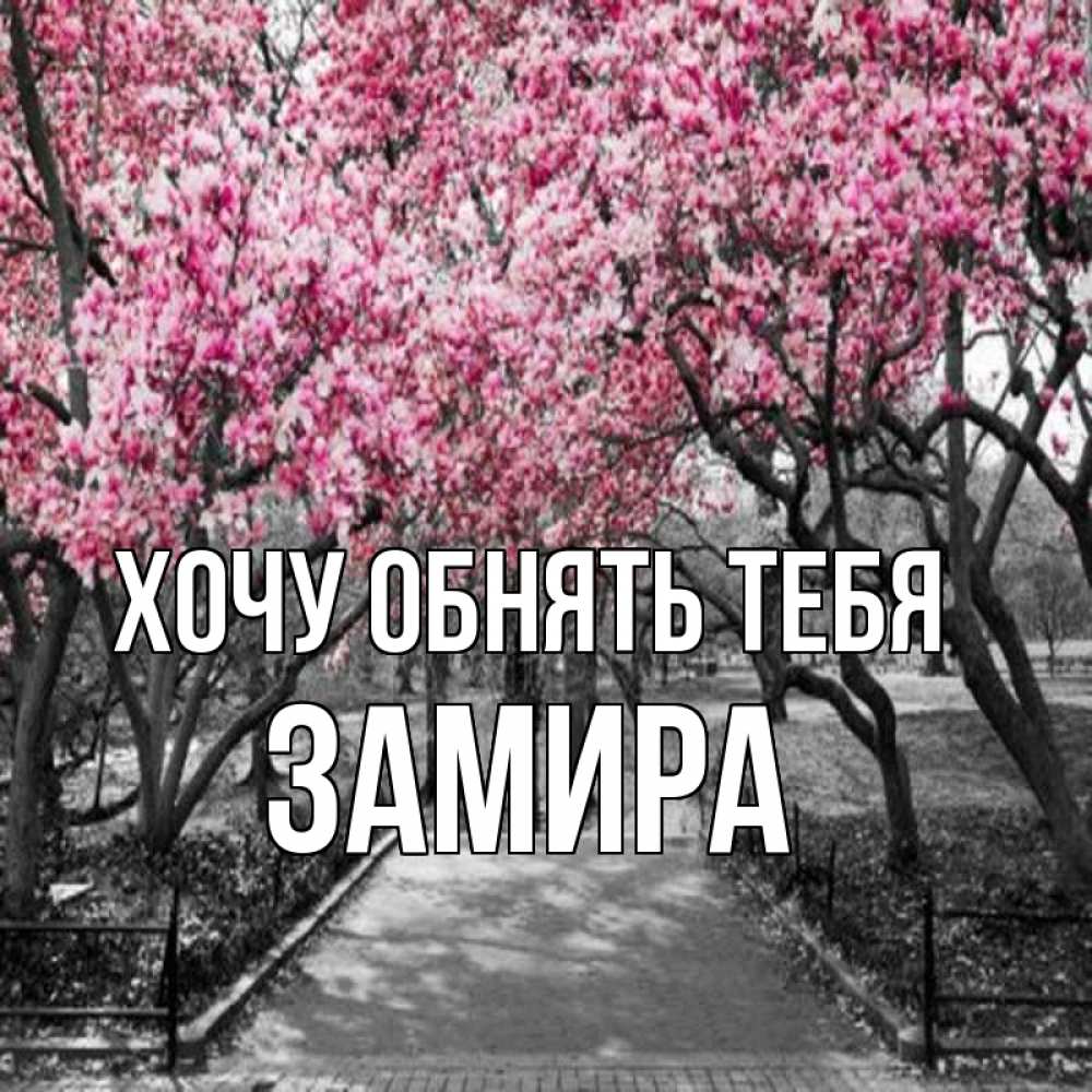 Открытка на каждый день с именем, Замира Хочу обнять тебя обработанное фото Прикольная открытка с пожеланием онлайн скачать бесплатно 