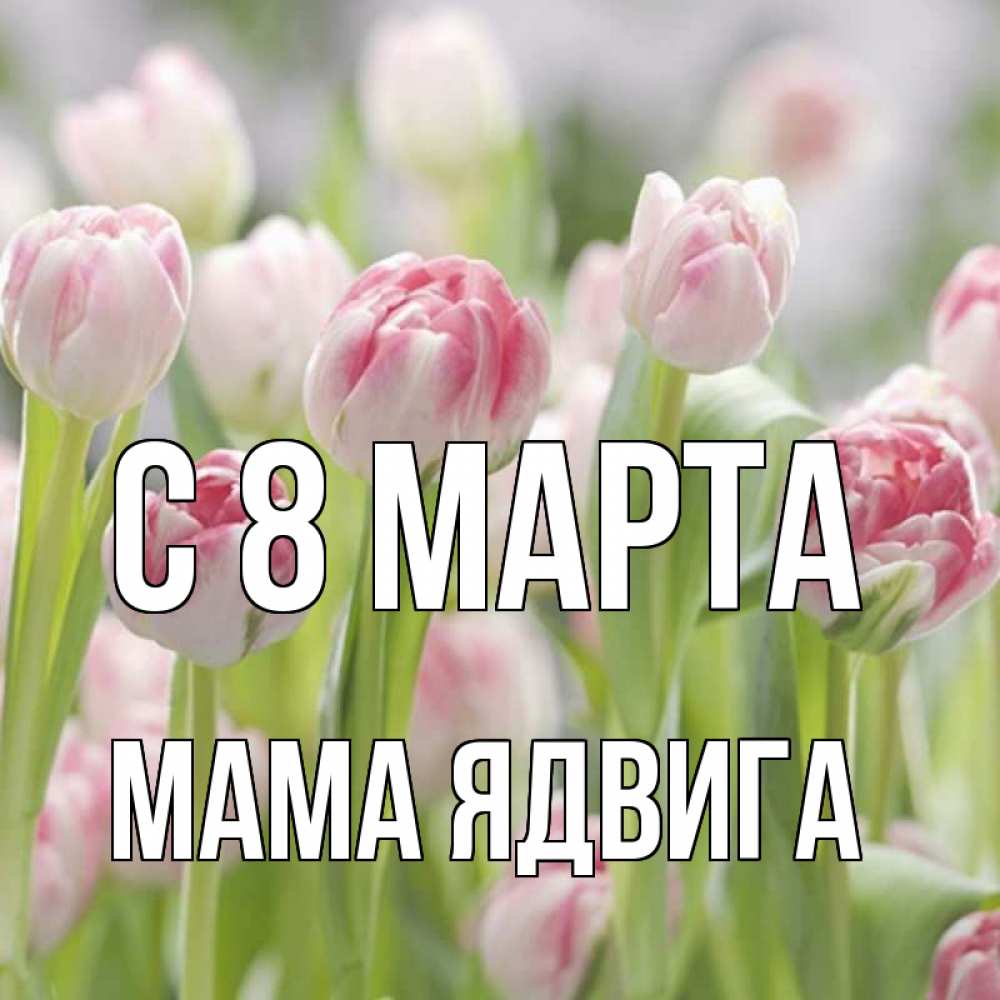 Открытка на каждый день с именем, Мама-Ядвига С 8 МАРТА цветы Прикольная открытка с пожеланием онлайн скачать бесплатно 