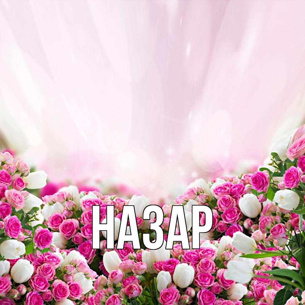 Открытка на каждый день с именем, Назар Главная под снегом Прикольная открытка с пожеланием онлайн скачать бесплатно 