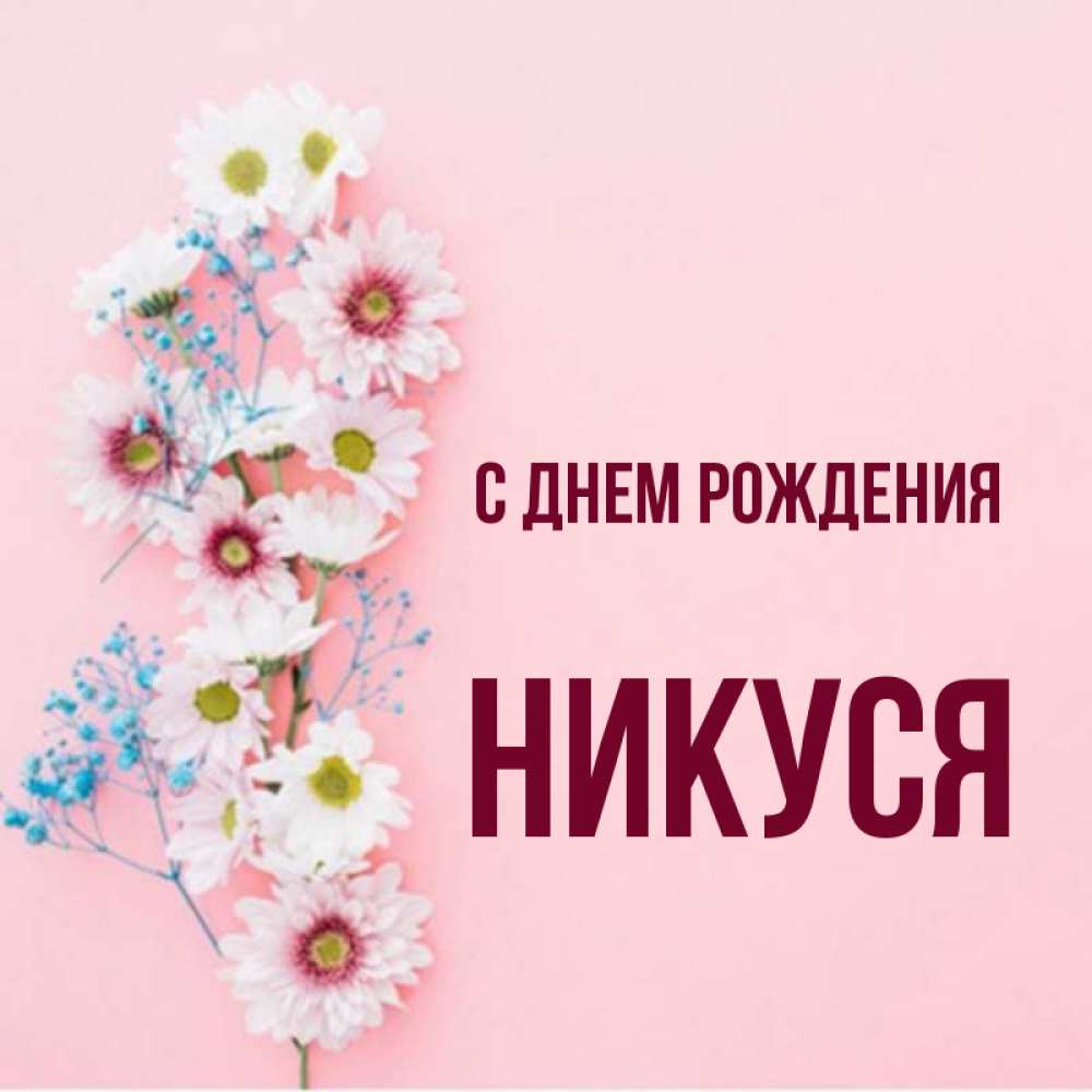 Никуся с днем рождения картинки