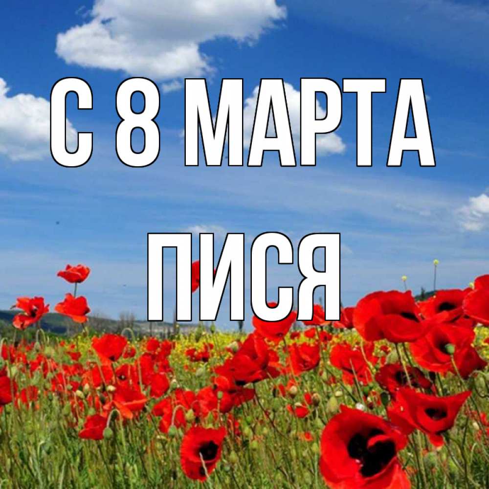 Картинка С 8 МАРТА, Пися