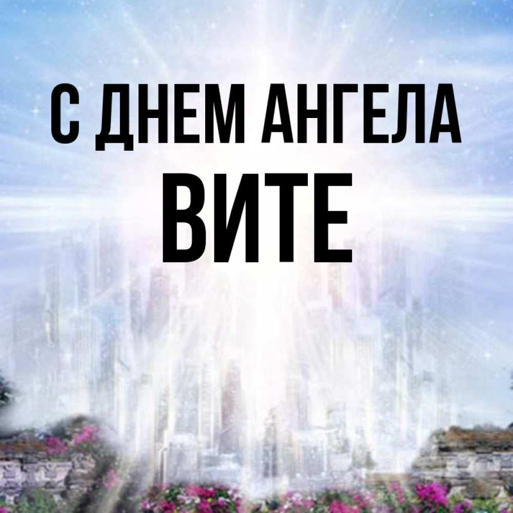 Angel vita запись