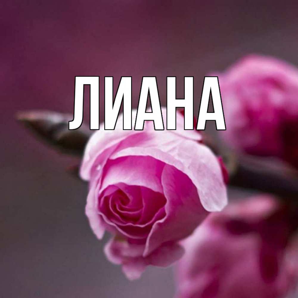 Картинка с именем елена 43
