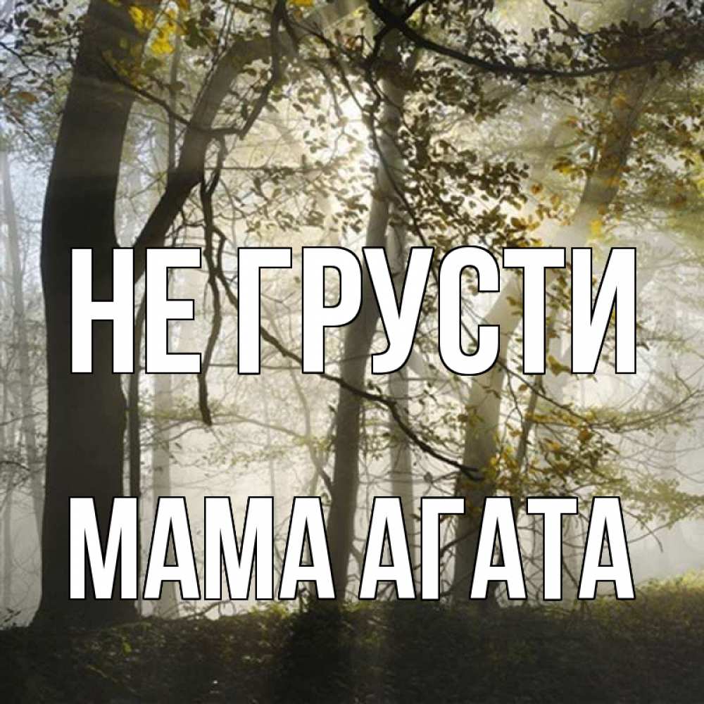 Открытка на каждый день с именем, Мама-Агата Не грусти лес и свет Прикольная открытка с пожеланием онлайн скачать бесплатно 