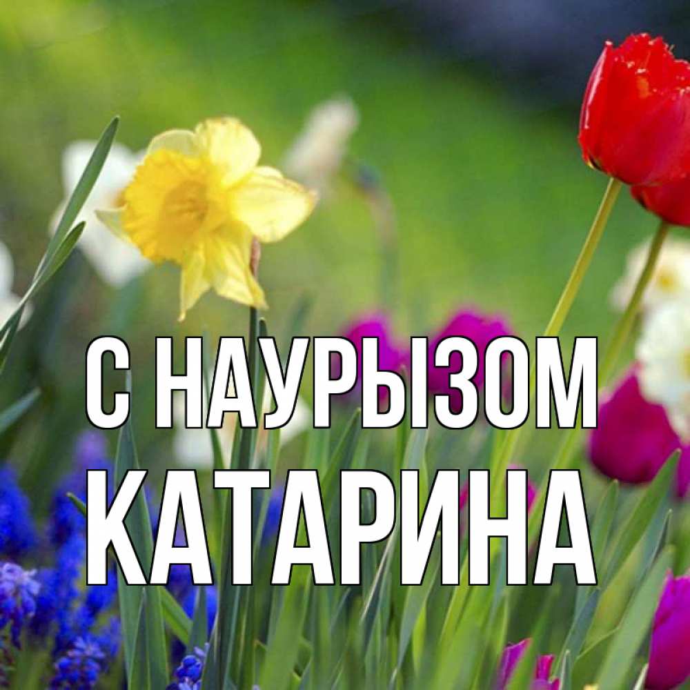 Открытка на каждый день с именем, Катарина С наурызом праздник весны наурыз 3 Прикольная открытка с пожеланием онлайн скачать бесплатно 