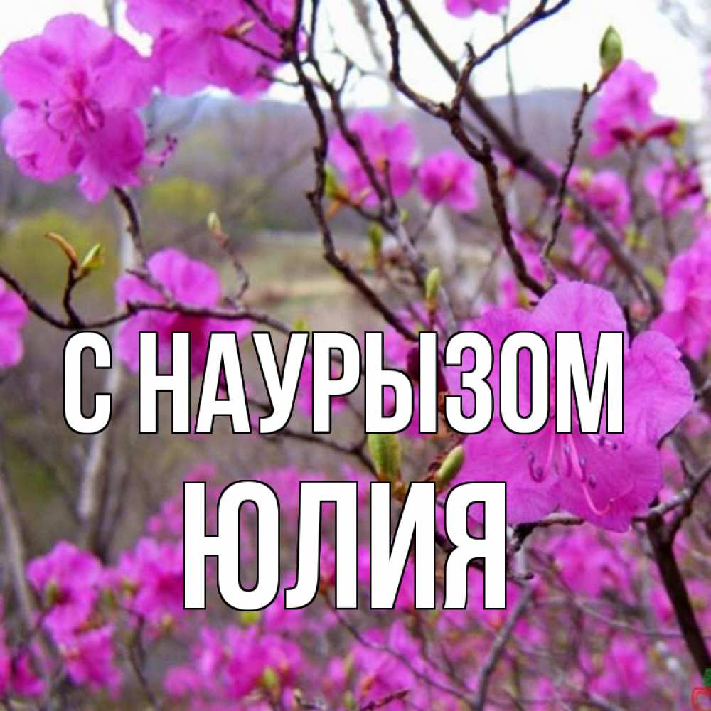 Открытка на каждый день с именем, Юлия С наурызом праздник весны наурыз Прикольная открытка с пожеланием онлайн скачать бесплатно 