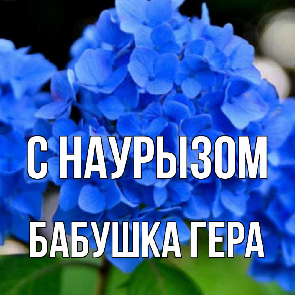 Открытка на каждый день с именем, Бабушка-Гера С наурызом синие цветы Прикольная открытка с пожеланием онлайн скачать бесплатно 