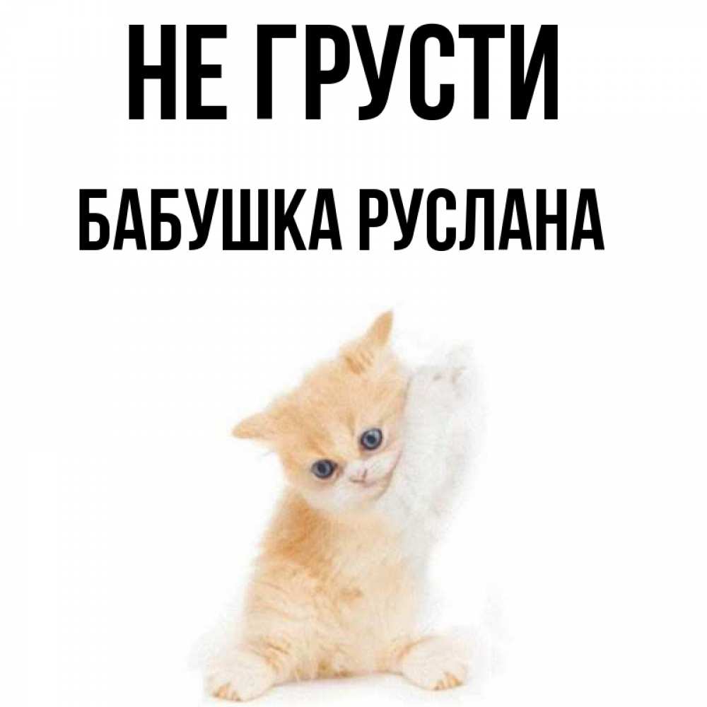 Открытка на каждый день с именем, Бабушка-Руслана Не грусти просящий кот Прикольная открытка с пожеланием онлайн скачать бесплатно 