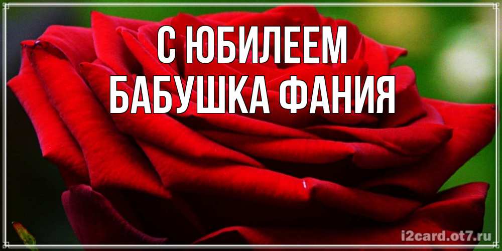 Открытка на каждый день с именем, Бабушка-Фания С юбилеем розочка очень красивая Прикольная открытка с пожеланием онлайн скачать бесплатно 