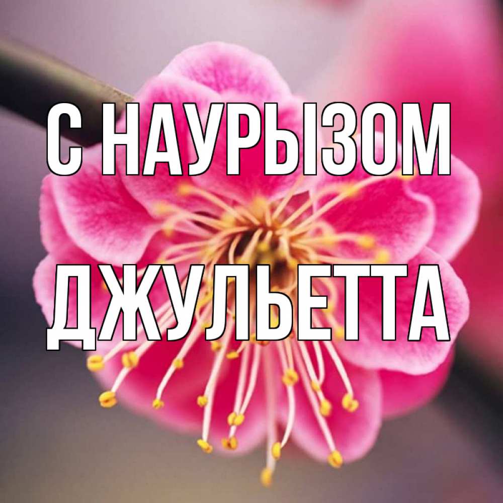 Открытка на каждый день с именем, Джульетта С наурызом цветы Прикольная открытка с пожеланием онлайн скачать бесплатно 