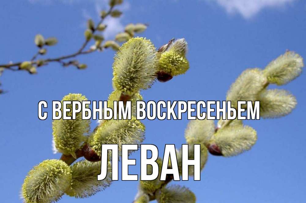 Открытка на каждый день с именем, Леван С вербным воскресеньем верба Прикольная открытка с пожеланием онлайн скачать бесплатно 