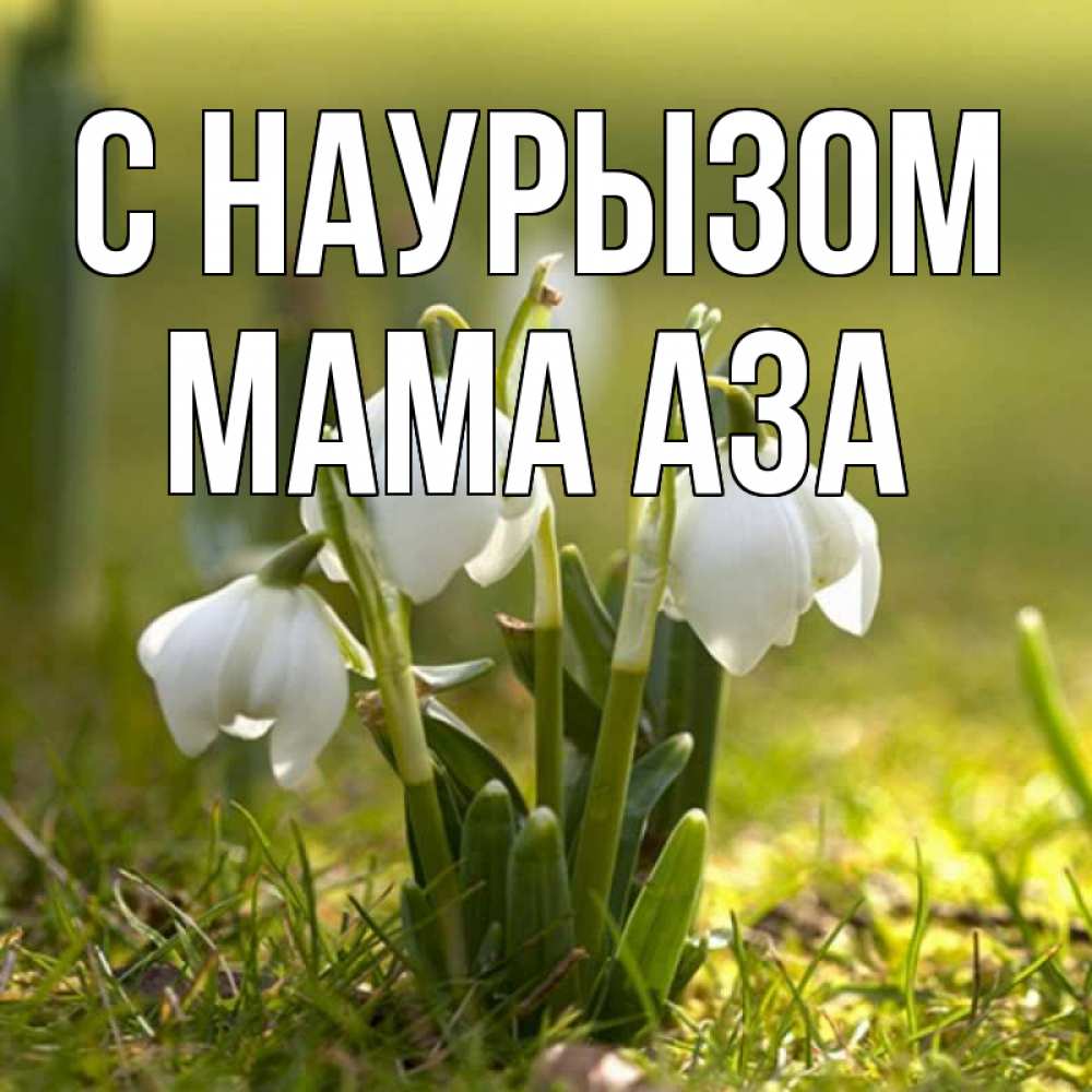Открытка на каждый день с именем, Мама-Аза С наурызом ранние цветы 2 Прикольная открытка с пожеланием онлайн скачать бесплатно 
