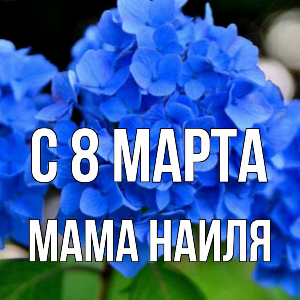Открытка на каждый день с именем, Мама-Наиля С 8 МАРТА синие цветы Прикольная открытка с пожеланием онлайн скачать бесплатно 