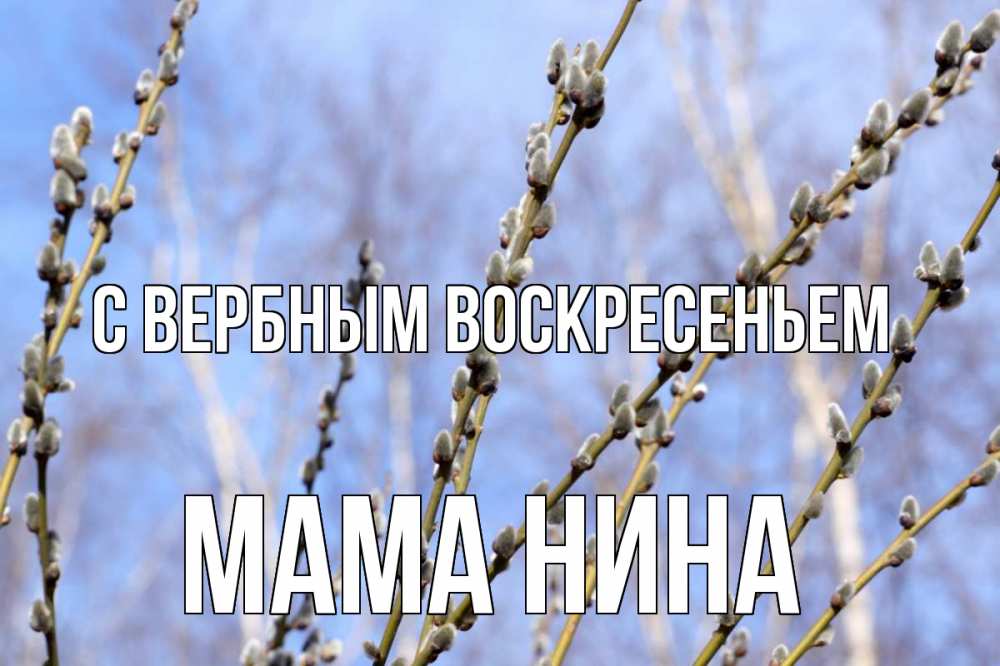 Открытка на каждый день с именем, Мама-Нина С вербным воскресеньем верба Прикольная открытка с пожеланием онлайн скачать бесплатно 