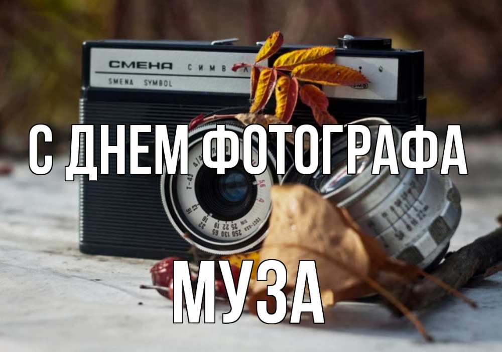 Открытка на каждый день с именем, Муза С днем фотографа с днем фотографа Прикольная открытка с пожеланием онлайн скачать бесплатно 
