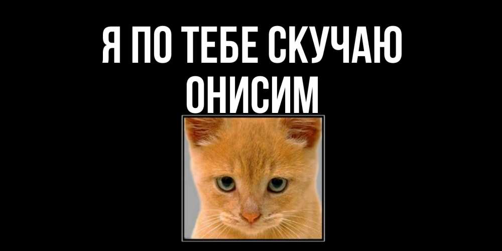 Открытка на каждый день с именем, Онисим Я по тебе скучаю открытки рыжий котенок скучает по тебе Прикольная открытка с пожеланием онлайн скачать бесплатно 