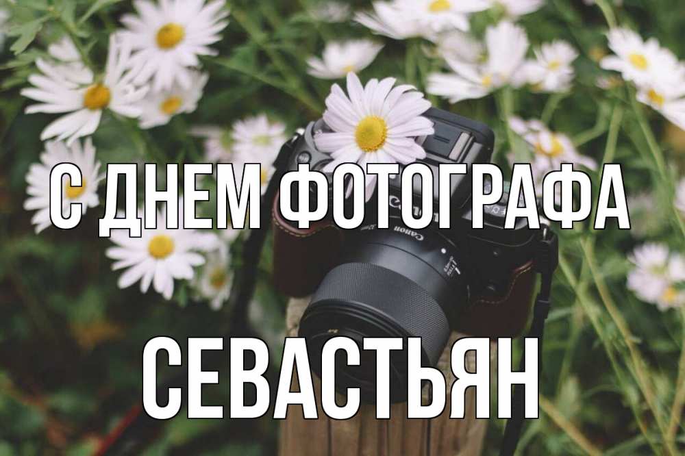 Открытка на каждый день с именем, Севастьян С днем фотографа с днем фотографа Прикольная открытка с пожеланием онлайн скачать бесплатно 