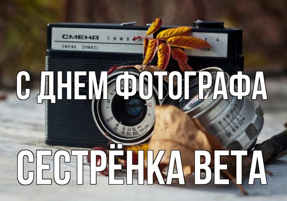 Открытка на каждый день с именем, Сестрёнка-Вета С днем фотографа с днем фотографа Прикольная открытка с пожеланием онлайн скачать бесплатно 