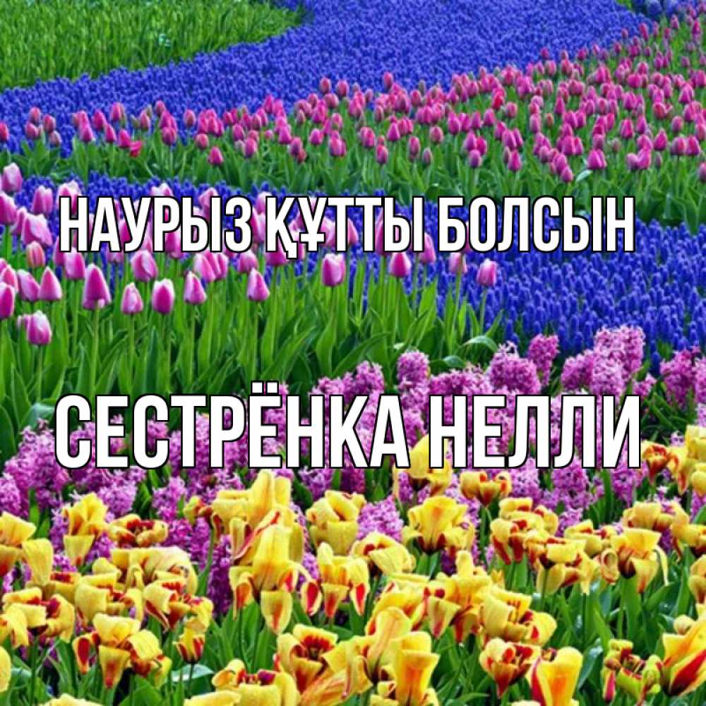 Открытка на каждый день с именем, Сестрёнка-Нелли Наурыз құтты болсын цветы Прикольная открытка с пожеланием онлайн скачать бесплатно 